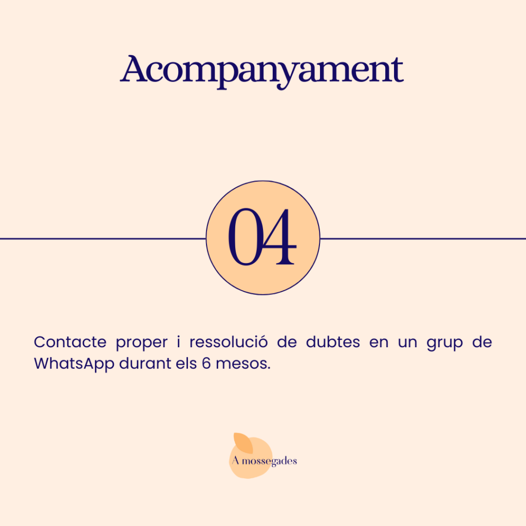 Acompanyament-5