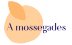 logo-amossegades